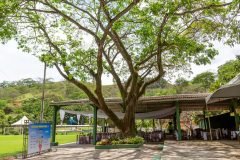 dia-do-professor-20251