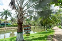 dia-do-professor-202510