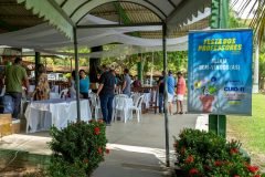 dia-do-professor-202511