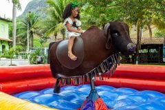 dia-do-professor-2025110