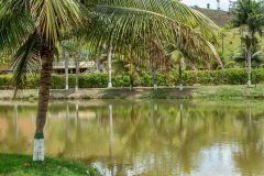 dia-do-professor-202512