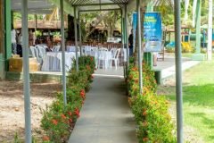 dia-do-professor-202516