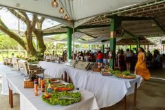 dia-do-professor-2025193