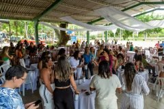 dia-do-professor-2025315