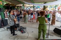 dia-do-professor-2025359