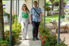 dia-do-professor-202562