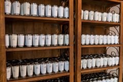 dia-do-professor-vitoria-20255